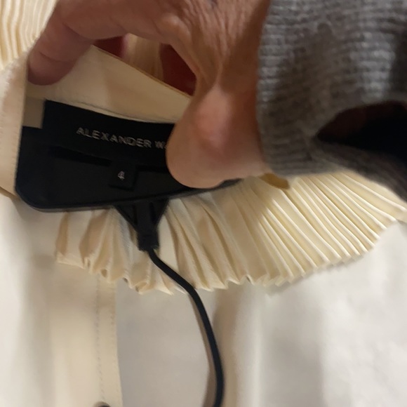 Alexander Wang  pleated blouse🌺 - Picture 3 of 4